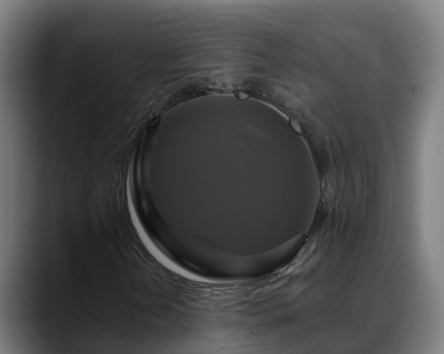 X0000088471202200705291542