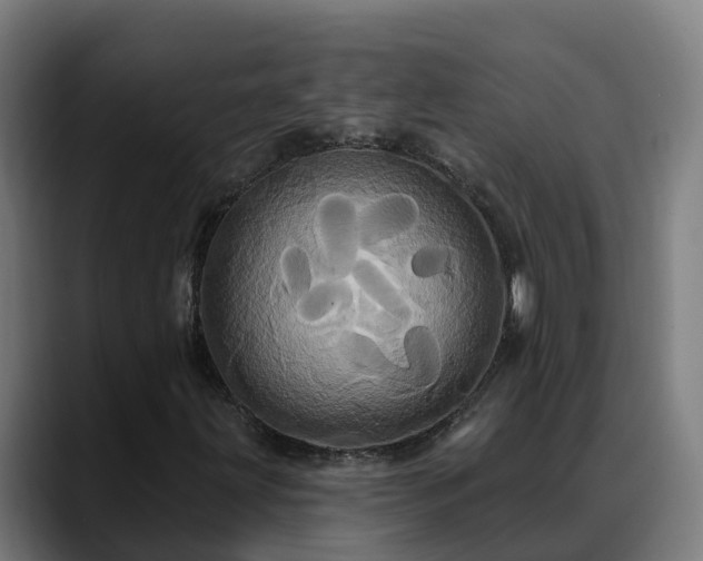 X0000088471203200705291542
