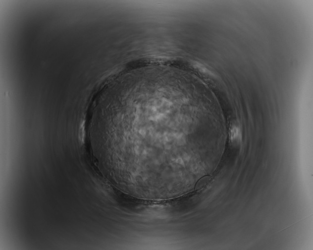 X0000088471204200705291542