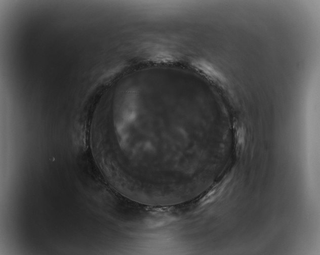 X0000088471205200705291542