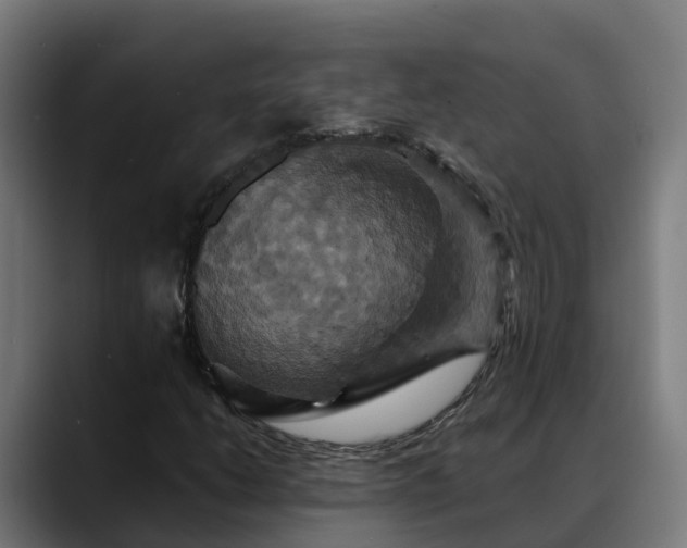 X0000088471206200705291542