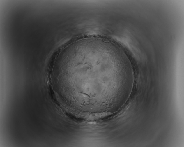 X0000088471207200705291542