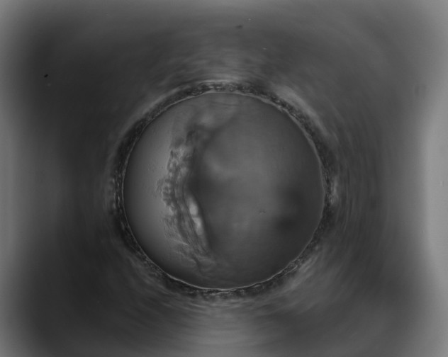X0000088471208200705291542