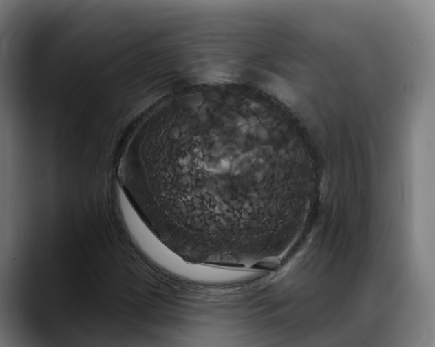 X0000088471209200705291542