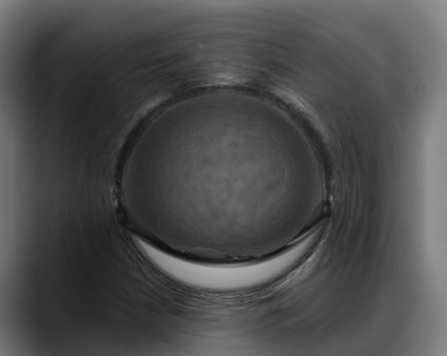 X0000088471210200705291542