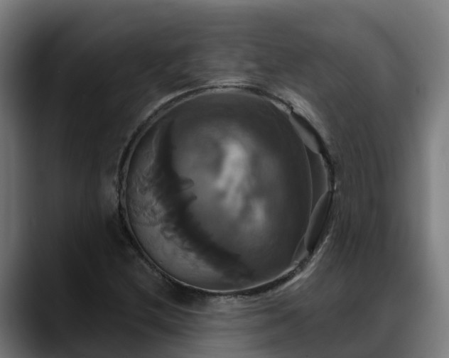 X0000088471212200705291542