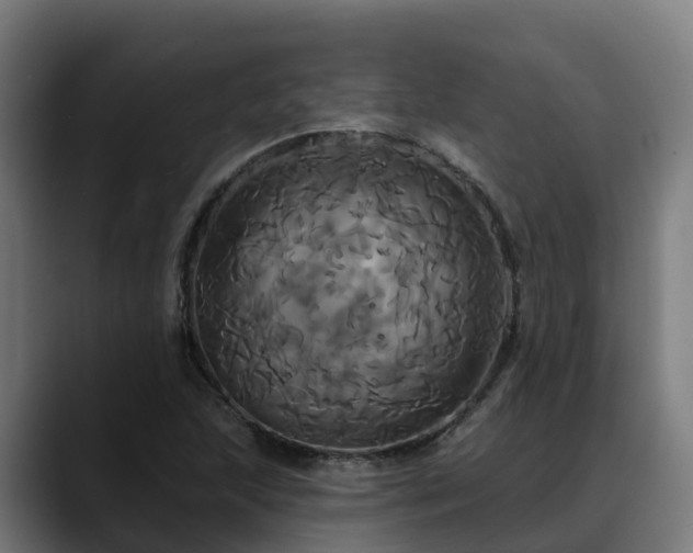 X0000088471215200705291543