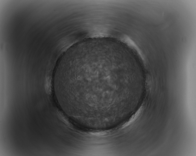 X0000088471217200705291543