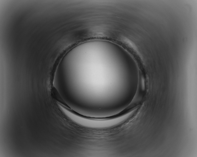 X0000088471218200705291543