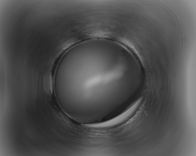 X0000088471219200705291543
