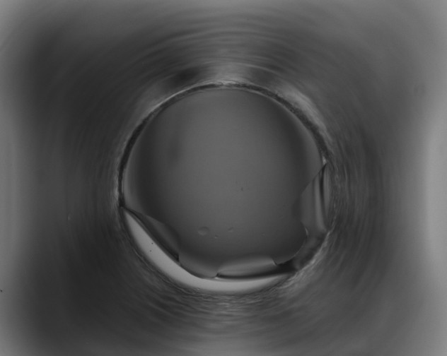 X0000088471226200705291543