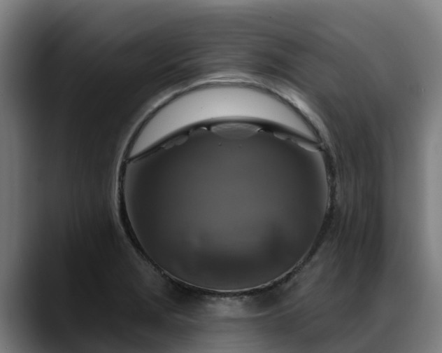 X0000088471229200705291543