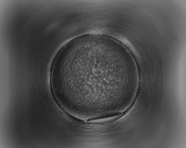 X0000088471232200705291543