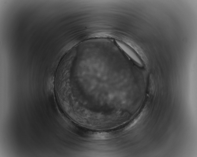 X0000088471233200705291543