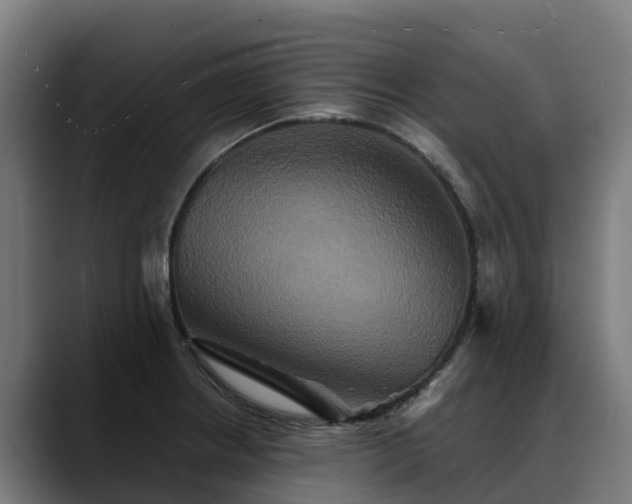 X0000088471234200705291543