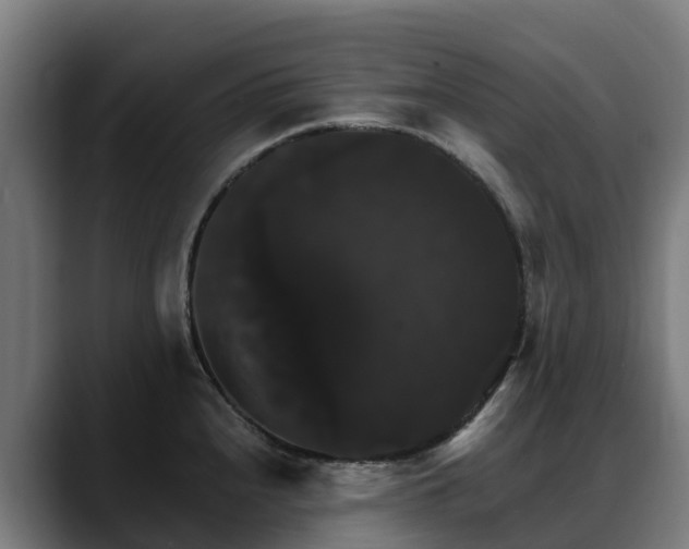 X0000088471240200705291543