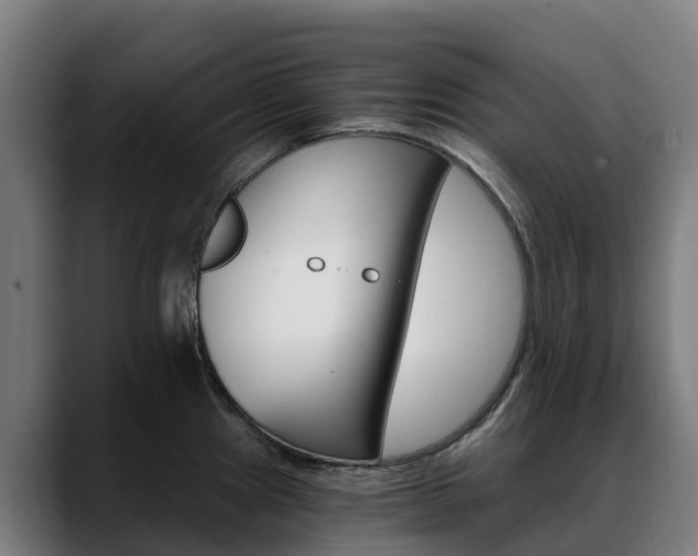X0000088471241200705291543