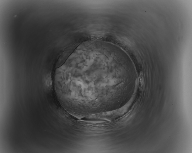 X0000088471252200705291542