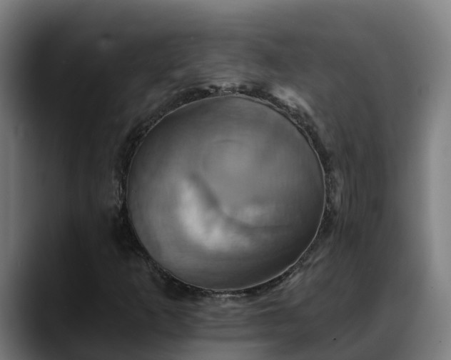 X0000088471253200705291542