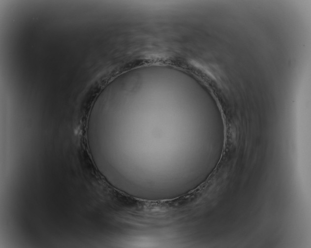 X0000088471254200705291542