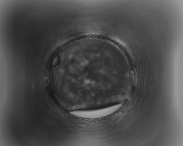 X0000088471255200705291542