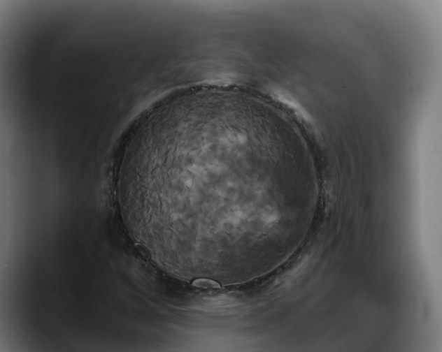 X0000088471256200705291542