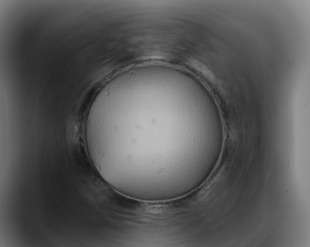 X0000088471258200705291542