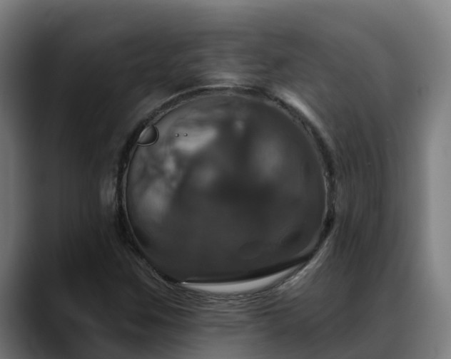 X0000088471259200705291542
