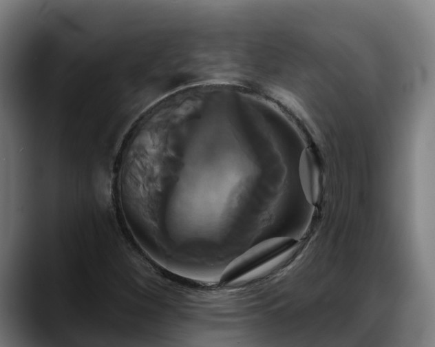 X0000088471260200705291542