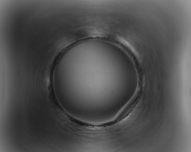 X0000088471261200705291542