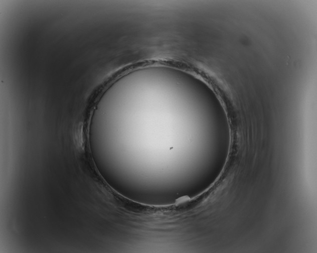 X0000088471262200705291542