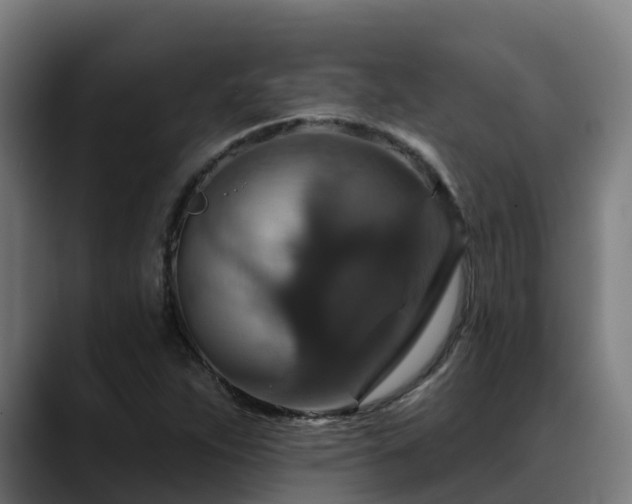 X0000088471263200705291542