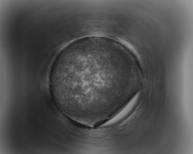 X0000088471264200705291542