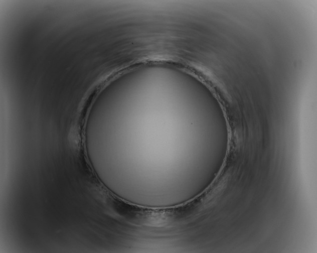 X0000088471266200705291542