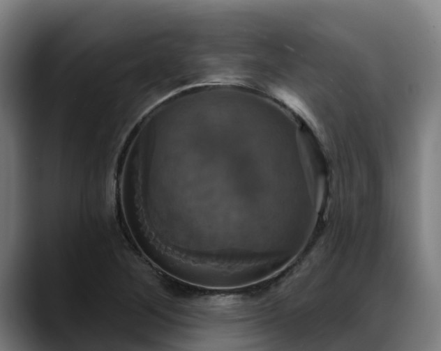 X0000088471268200705291542