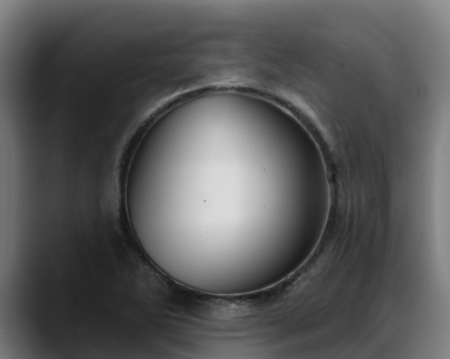 X0000088471270200705291542