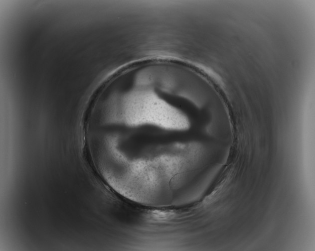 X0000088471271200705291542