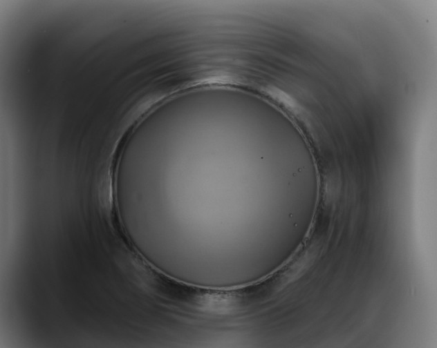 X0000088471274200705291542