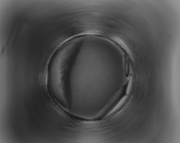X0000088471276200705291542