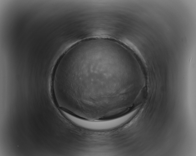 X0000088471277200705291542