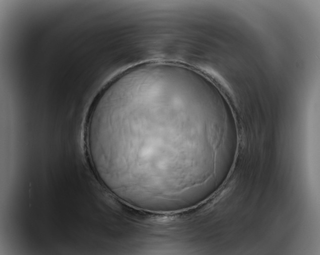 X0000088471278200705291542