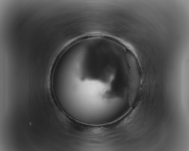 X0000088471279200705291542