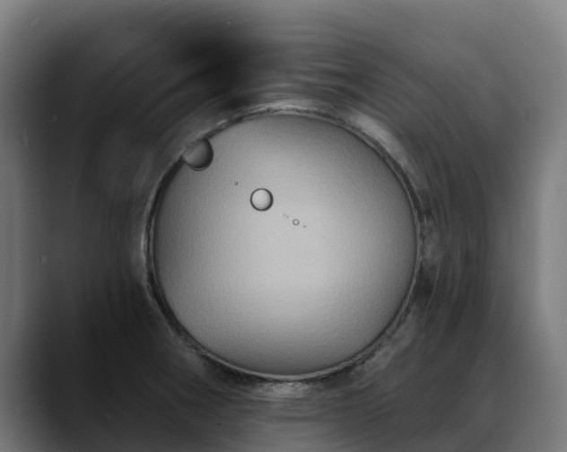 X0000088471282200705291542