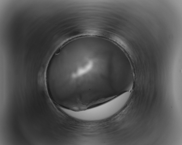 X0000088471283200705291542
