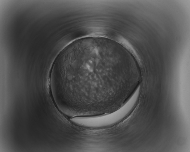X0000088471284200705291542