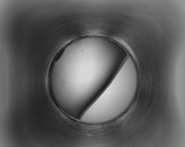 X0000088471285200705291542