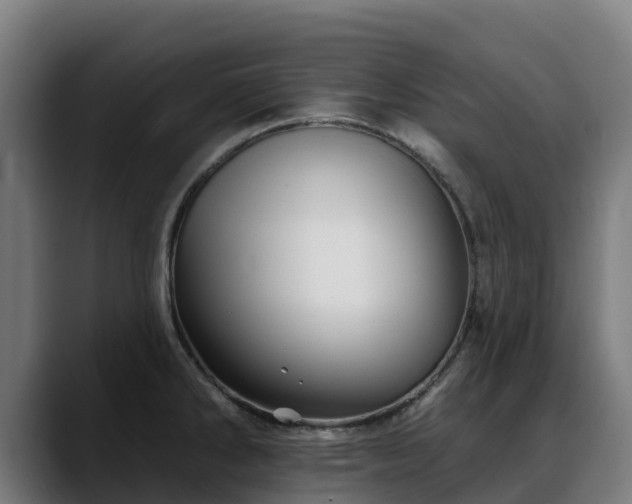 X0000088471286200705291542