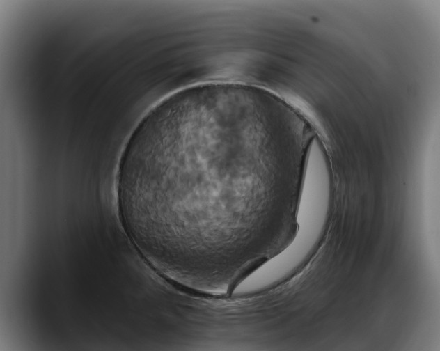 X0000088471288200705291542