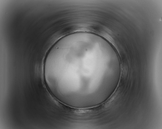 X0000088471290200705291542