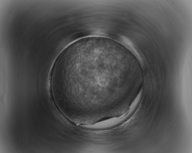 X0000088471292200705291542